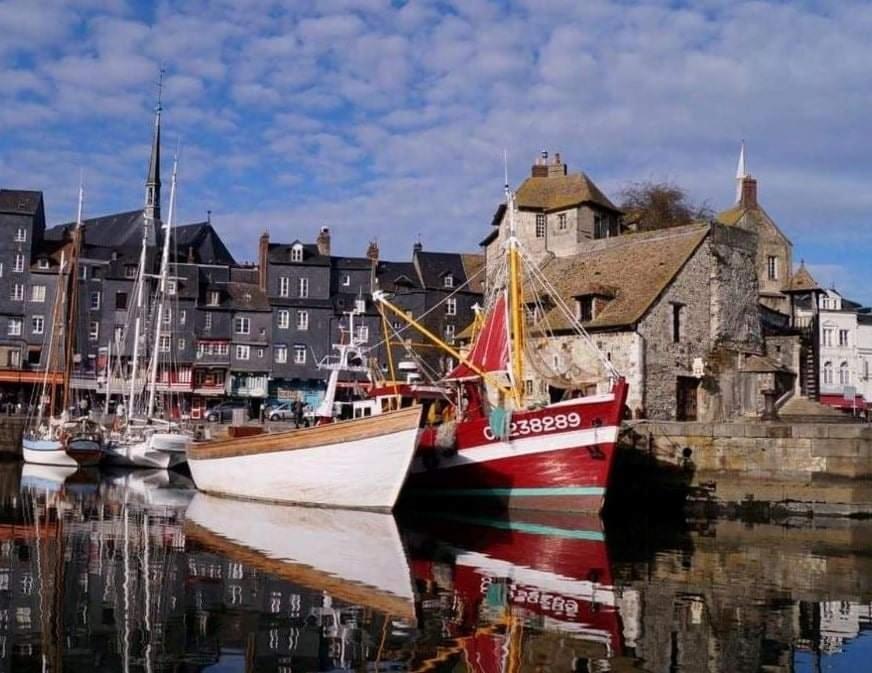 Les Mouettes Du Port Apartment Honfleur Bagian luar foto